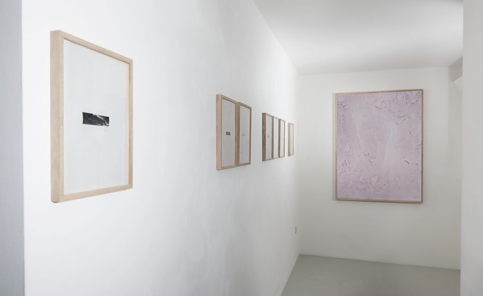Installation view of Silva Imaginum, curated by Federico Ferrari, 11th May - 10th July 2015